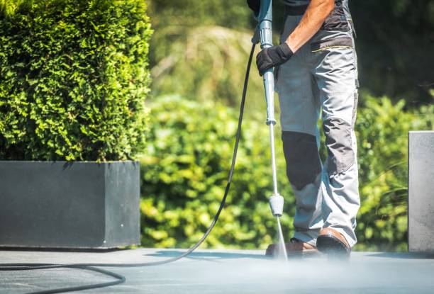 Best Animal Enclosure Cleaning  in Springtown, TX